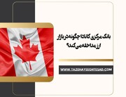 بانک مرکزی کانادا چگونه در بازار ارز مداخله می‌کند؟