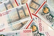 تجربه دانمارک در اجرای موفق نظام میخکوب ارزی