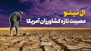 ال نینو مصیبت تازه کشاورزان آمریکا