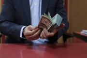 فرش قرمز زیر پای دلارهای خانگی