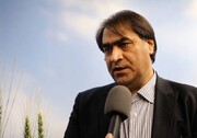 راهبرد پشتیبانی امور دام  موازنه‌ منطقی در بازار است/ تولید کننده و مصرف کننده نباید ضرر کنند 