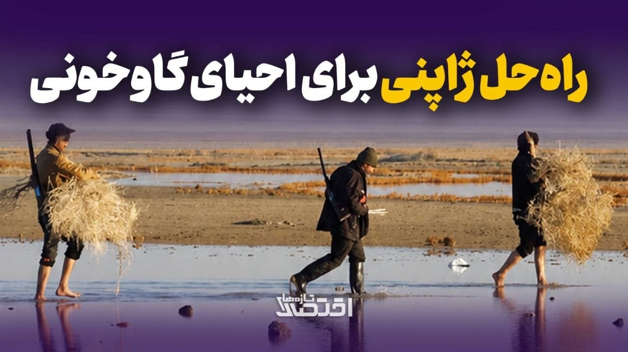 راه‌حل ژاپنی برای احیای گاوخونی