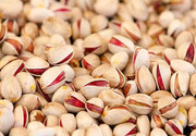 آغاز معاملات پسته در بورس کالا از سوم شهریور