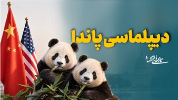 دیپلماسی پاندا