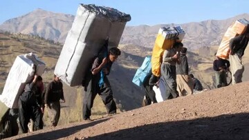 ۴۰۰ میلیون دلار واردات کولبری