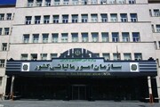 پیامک مالیاتی برای شهروندان؛ تأیید معاملات چه تبعاتی دارد؟