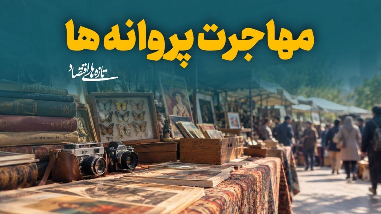 مهاجرت پروانه‌ها