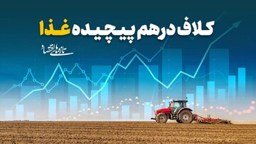 کلاف درهم‌پیچده غذا