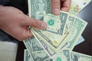 «ارز خودمان» هم باید اولویت داشته باشد/ ابلاغ رسمی ممنوعیت واردات خودرو