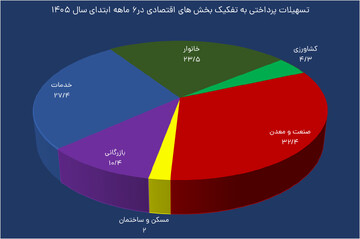 سهم خانوارها از تسهیلات به ۲۴ درصد رسید